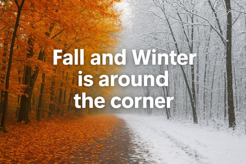 Prepping for Fall and Winter image